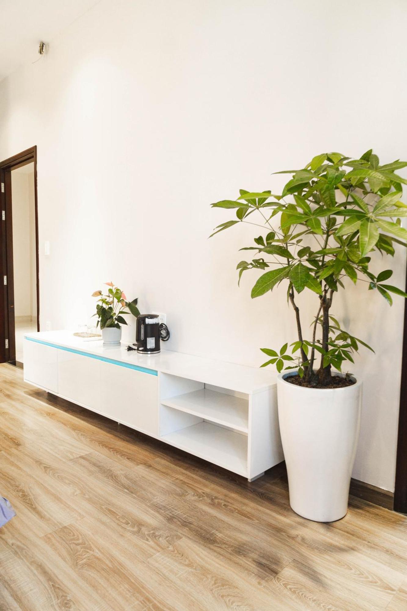 Hotel Shalom House _ Bảo Lộc Exterior foto