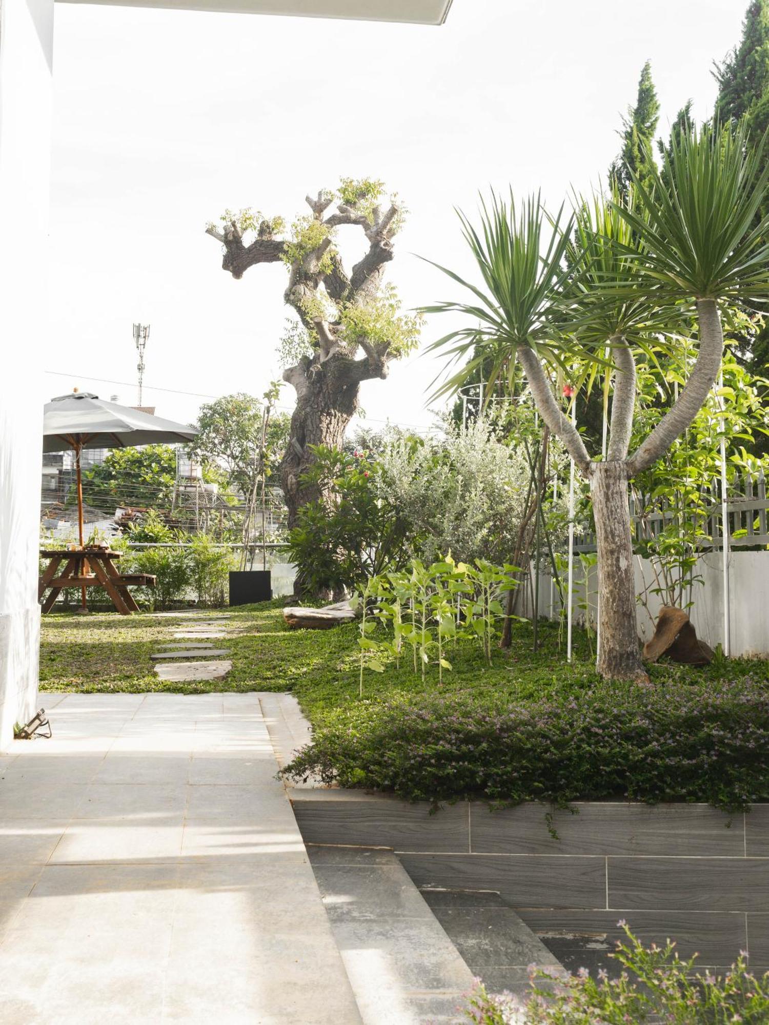 Hotel Shalom House _ Bảo Lộc Exterior foto